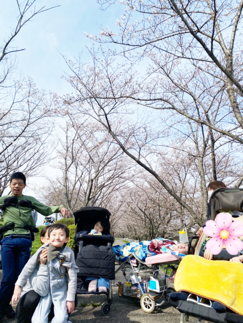 お花見イベント　桜の木　桜の花びら　屋内でお花見　キャンプスペース　リラックス　看護師　理学療法士　作業療法士　言語聴覚士　児童指導員　保育士